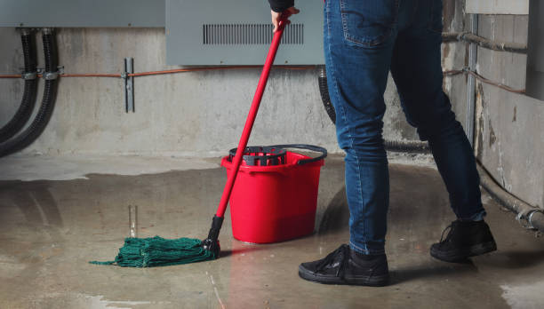 Best Flood damage cleanup  in Prieton, NC