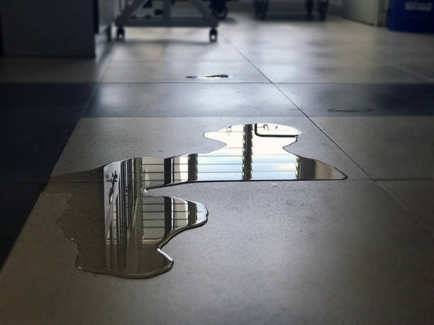 Best Professional water damage repair  in Prieton, NC