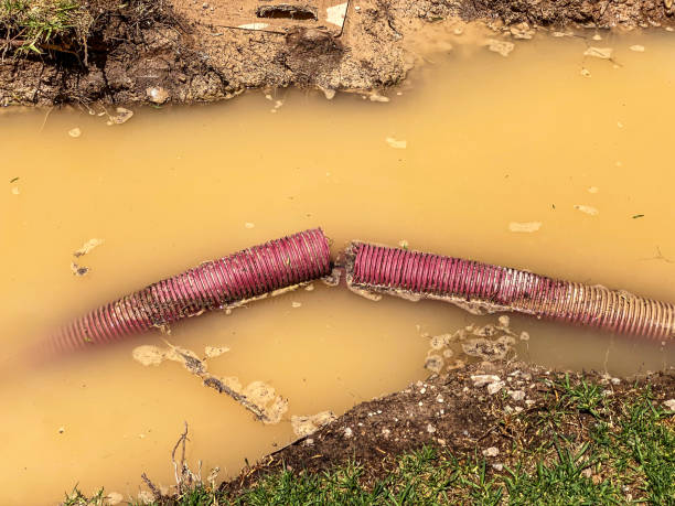 Sewage cleanup and water damage restoration in Princeton, NC